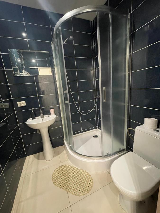 Vintage Apartment Kotlyarska10 Lviv Dış mekan fotoğraf